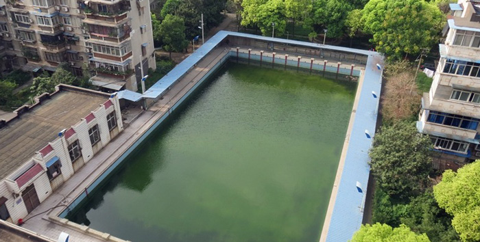 游泳池水變綠是什么原因？游泳池水處理方法