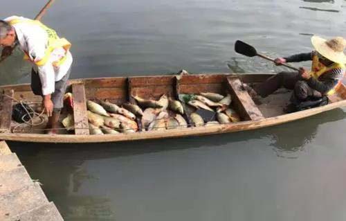 廣州旺旺食品廢水直排，永和河大量魚類死亡