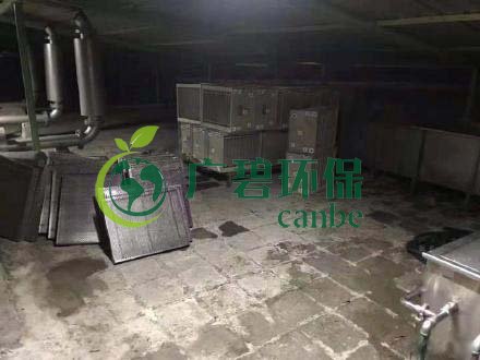 廣州旺旺食品廢水直排，永和河大量魚類死亡(圖3)