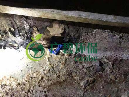 廣州旺旺食品廢水直排，永和河大量魚類死亡(圖4)