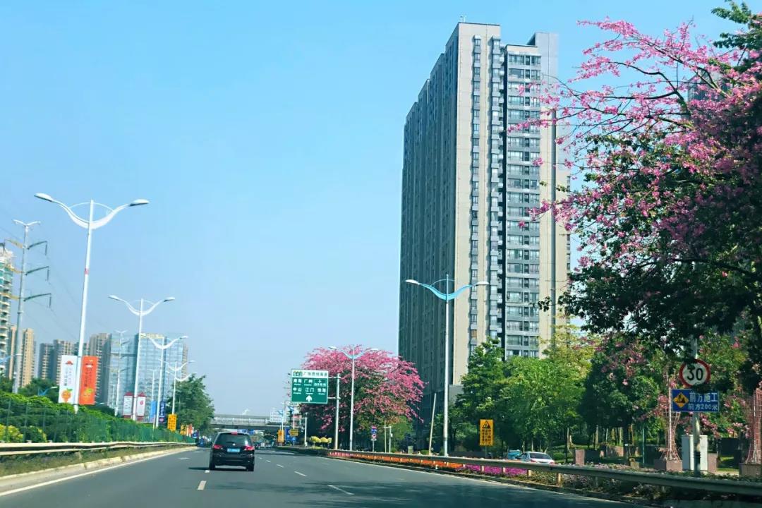 環(huán)境部印發(fā)《規(guī)劃環(huán)評技術(shù)導則 總綱》，項目環(huán)評部分章節(jié)可簡化