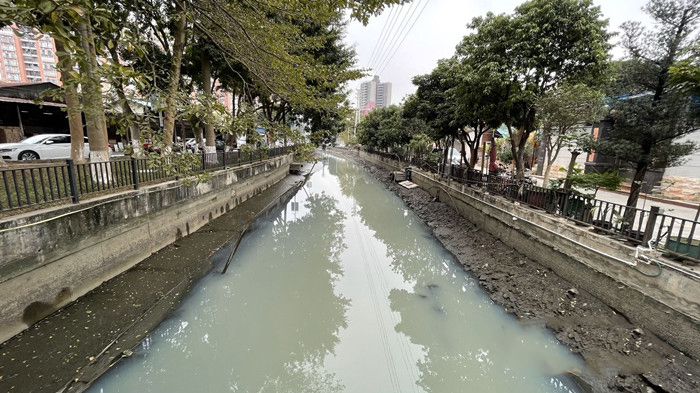 順德大良石洛涌、八坊涌整治見(jiàn)成效(圖3)